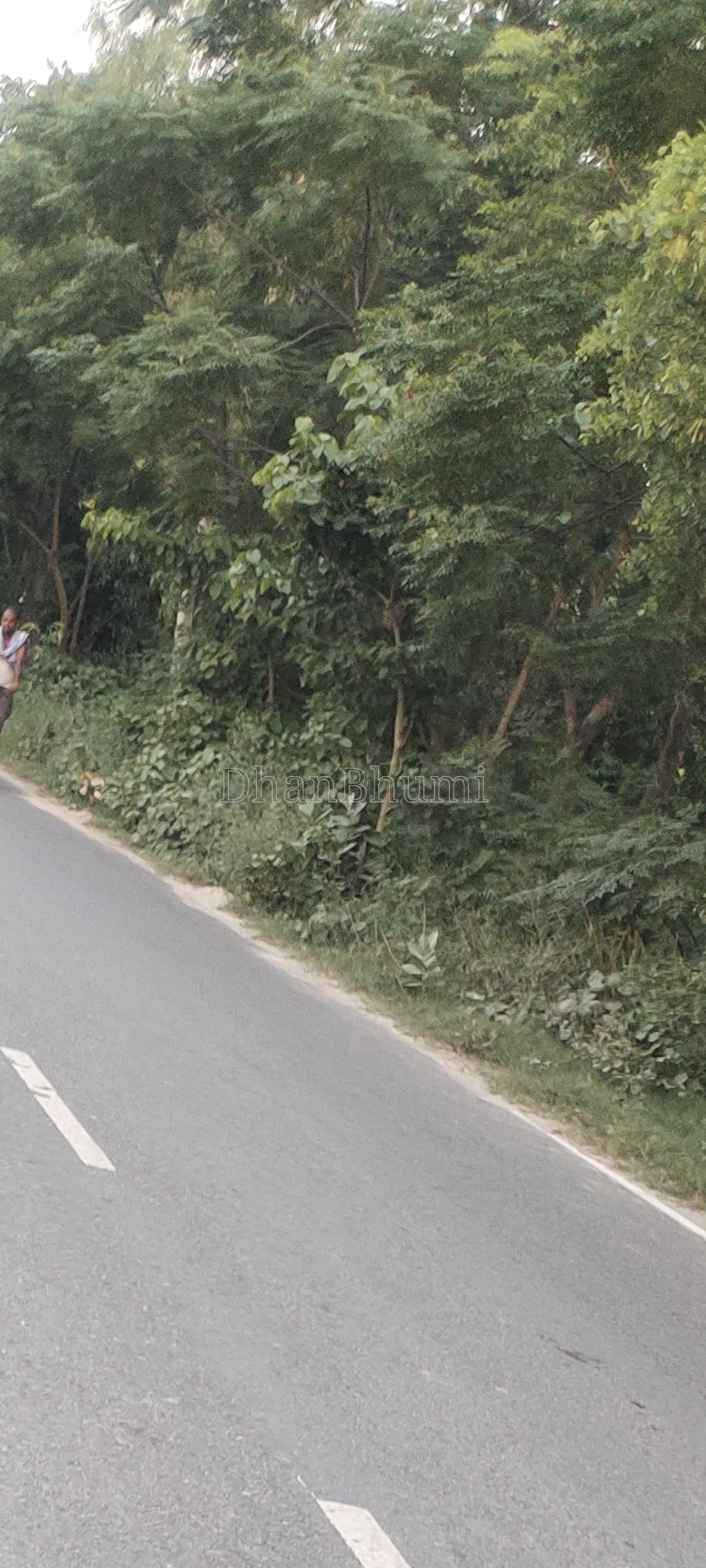 property_images/plot_in_muzaffarpur_1787648014_6a8d580e69d55.jpg