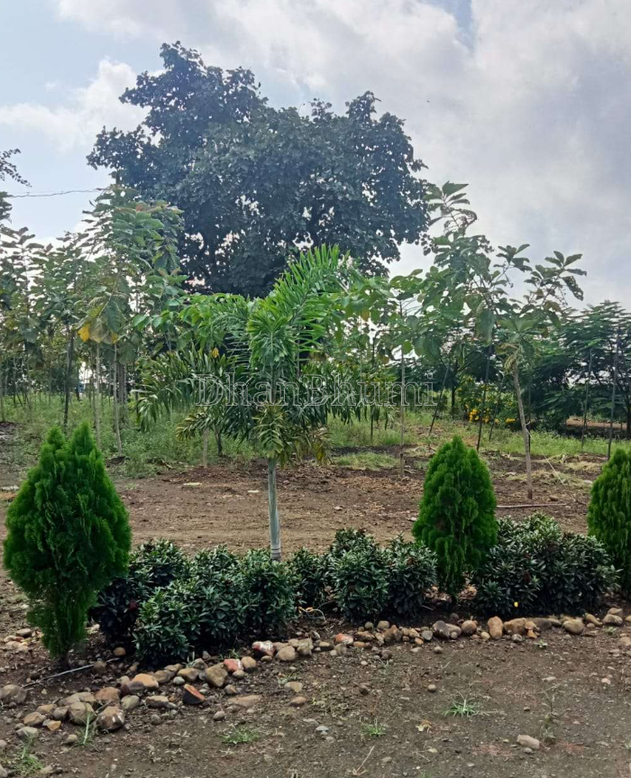 property_images/plot_in_nagpur_1784118890_6a577e6a48af5.png