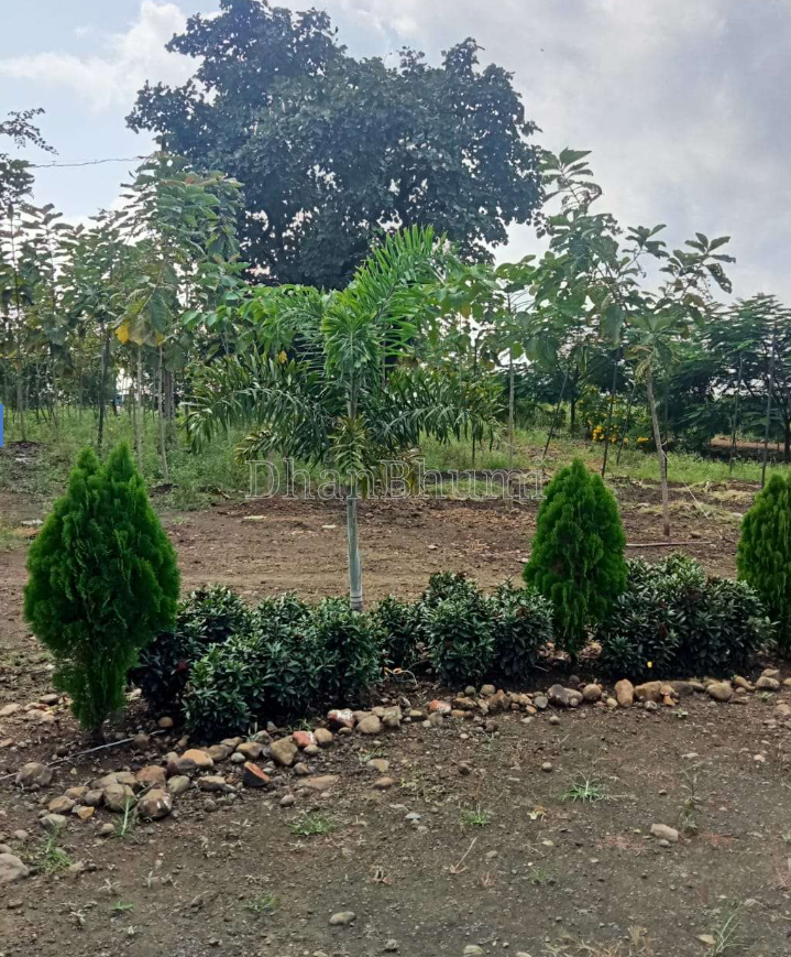 property_images/plot_in_nagpur_1784118891_6a577e6b1f368.png