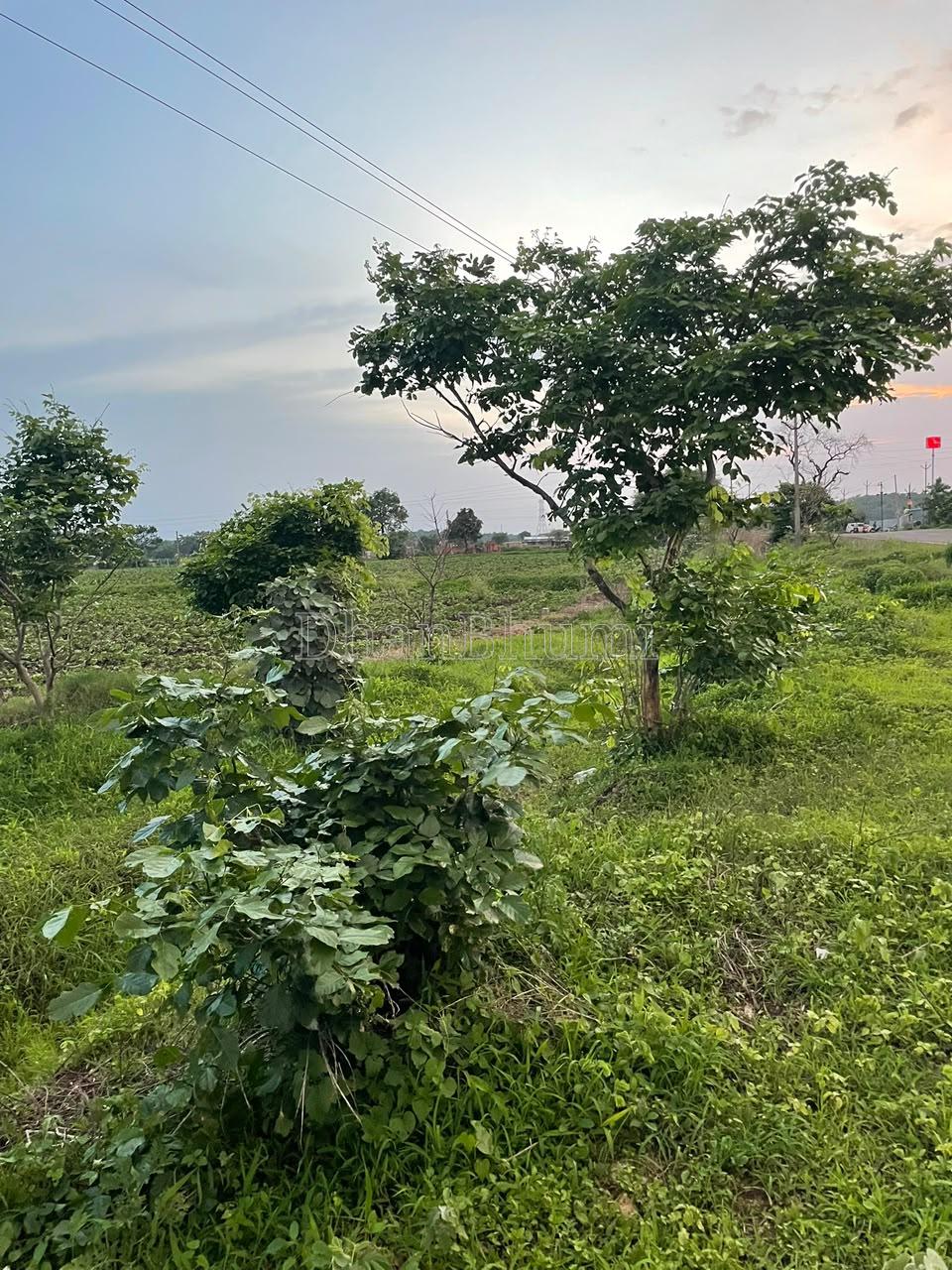 property_images/plot_in_nagpur_1786446463_6a7b027fa051b.jpeg