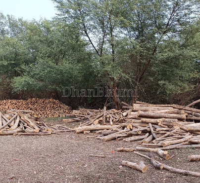 property_images/plot_in_nagpur_1788610451_6a9c079357f3e.PNG