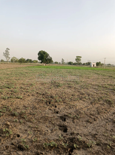 property_images/plot_in_nalanda_1782903088_6a44f13062a2b.PNG