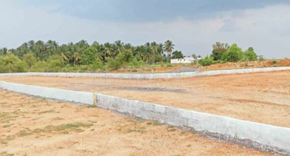 property_images/plot_in_nalanda_1785394789_6a6af665c8541.png
