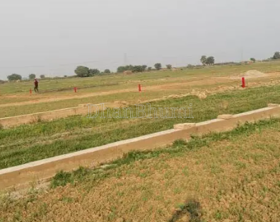 property_images/plot_in_nalanda_1785412523_6a6b3baba1ebc.png