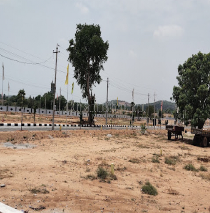 property_images/plot_in_nalanda_1788178678_6a9570f603ce0.png