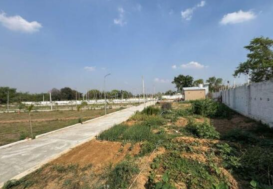 property_images/plot_in_nalanda_1791979467_6acf6fcbb9998.PNG