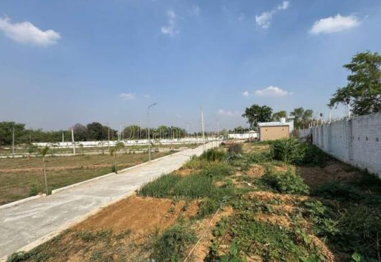 property_images/plot_in_nalanda_1791979678_6acf709e4cd39.PNG