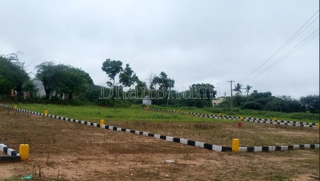 property_images/plot_in_narsinghpur_1786356962_6a79a4e2c0e9a.png