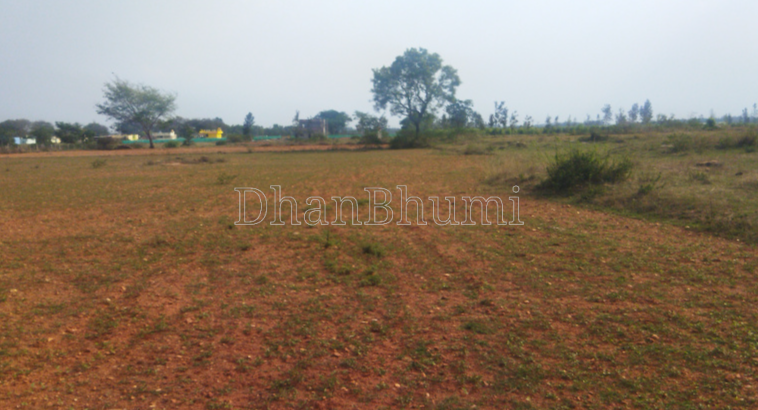 property_images/plot_in_nashik_1785741895_6a70424740b32.png