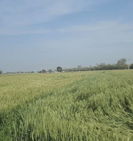 property_images/plot_in_palwal_1784788563_6a61b6537a93d.png
