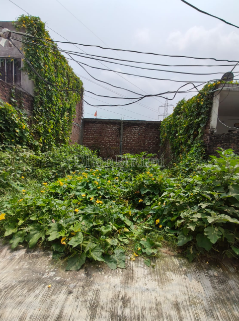 property_images/plot_in_pathankot_1792395380_6ad5c8743a02e.PNG