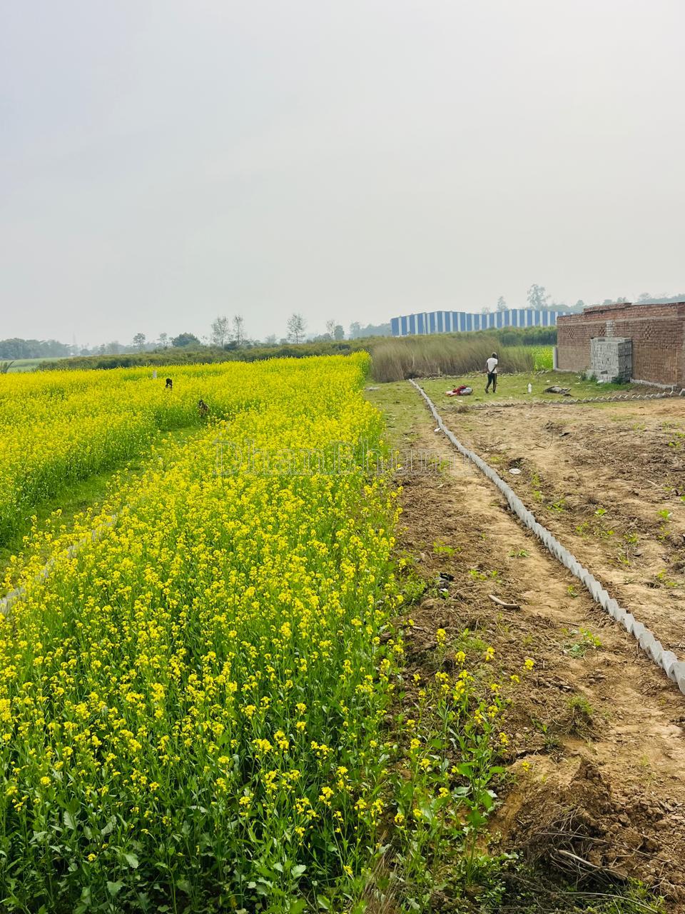 property_images/plot_in_patna_1780740788_6a23f2b4e3fc4.jpg