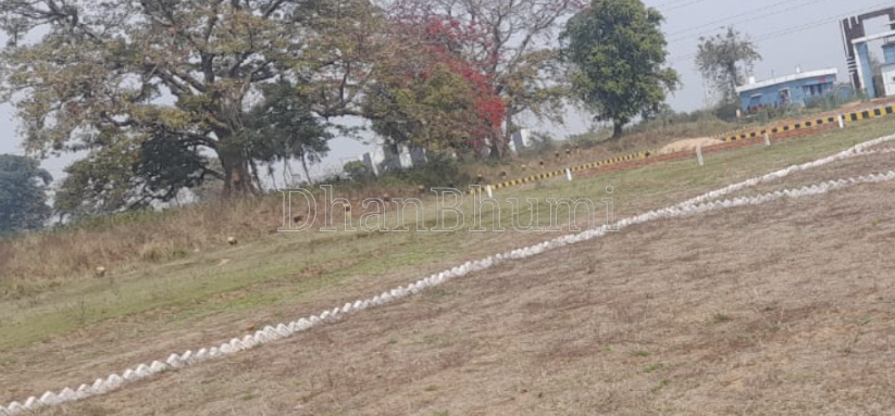 property_images/plot_in_patna_1782896590_6a44d7ceed5c2.PNG
