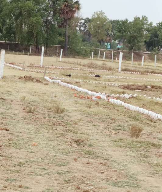property_images/plot_in_patna_1782897295_6a44da8f4a7d1.PNG