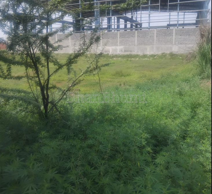 property_images/plot_in_patna_1783148294_6a48af061d01c.png