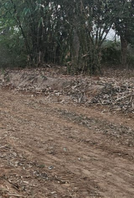 property_images/plot_in_patna_1789026656_6aa261606de83.PNG