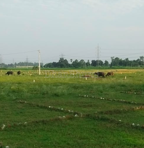 property_images/plot_in_patna_1791374528_6ac634c092b55.png