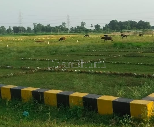 property_images/plot_in_patna_1791375164_6ac6373c3bac3.png