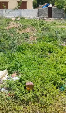 property_images/plot_in_pune_1791365978_6ac6135a148c7.png