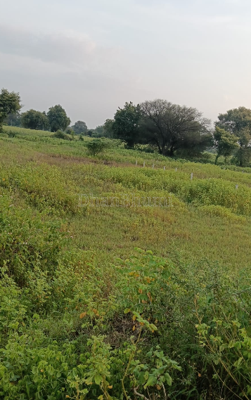property_images/plot_in_ratlam_1786613773_6a7d900d42ec4.PNG