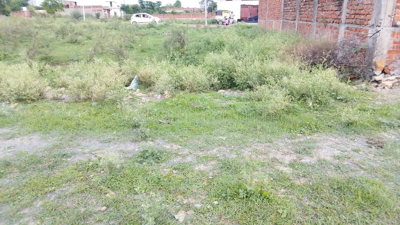 property_images/plot_in_rewa_1785143193_6a671f99f3de0.jpeg