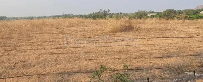 property_images/plot_in_saharanpur_1784720391_6a60ac07202c1.jpg