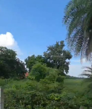 property_images/plot_in_shajapur_1790157585_6ab3a31193556.png