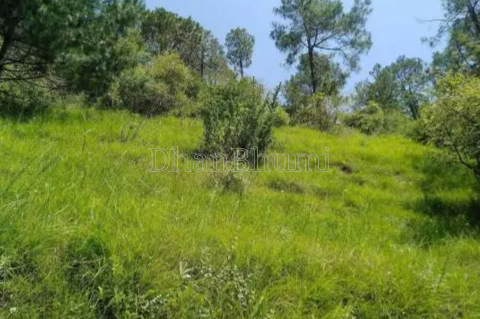 property_images/plot_in_shimla_1785584503_6a6ddb7790d70.png