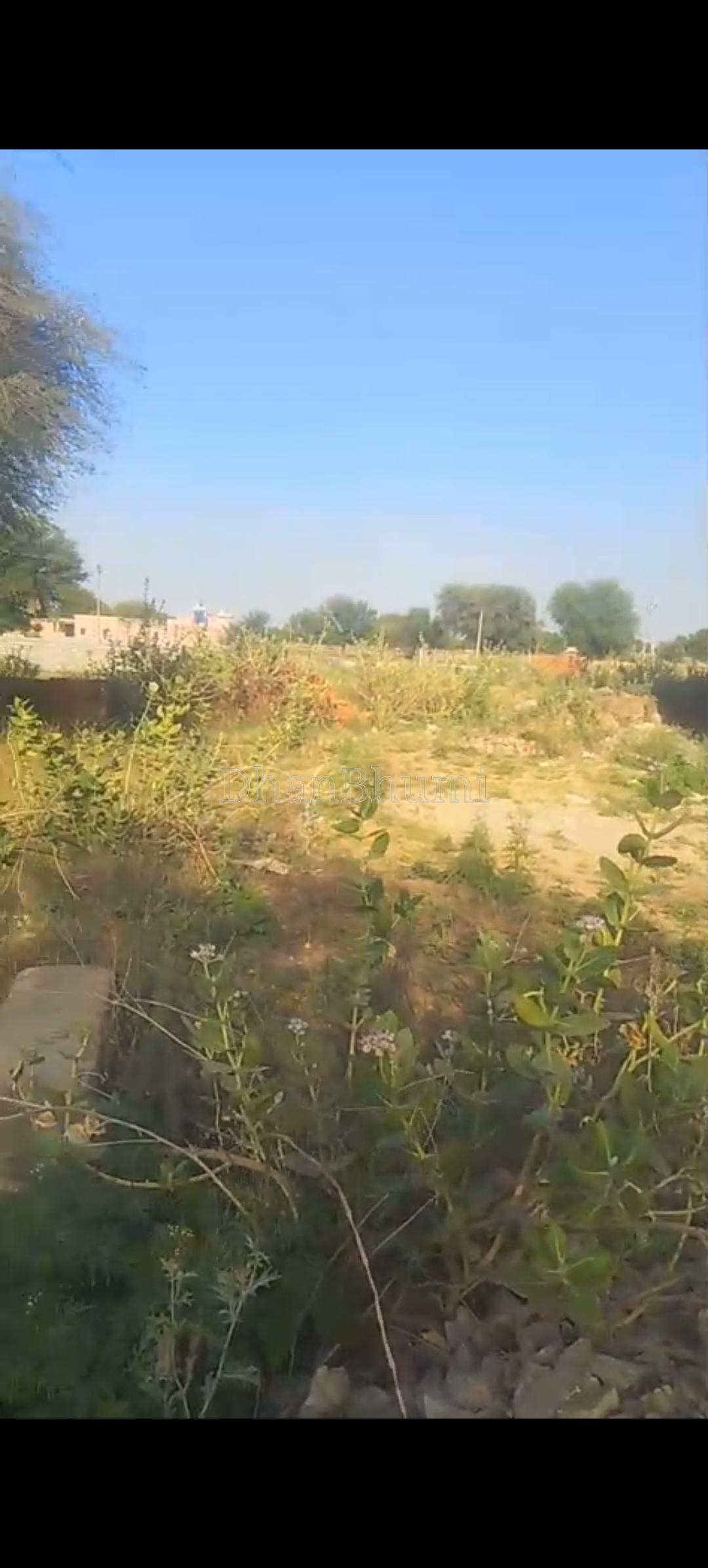 property_images/plot_in_sikar_1780768884_6a246074209d3.jpg