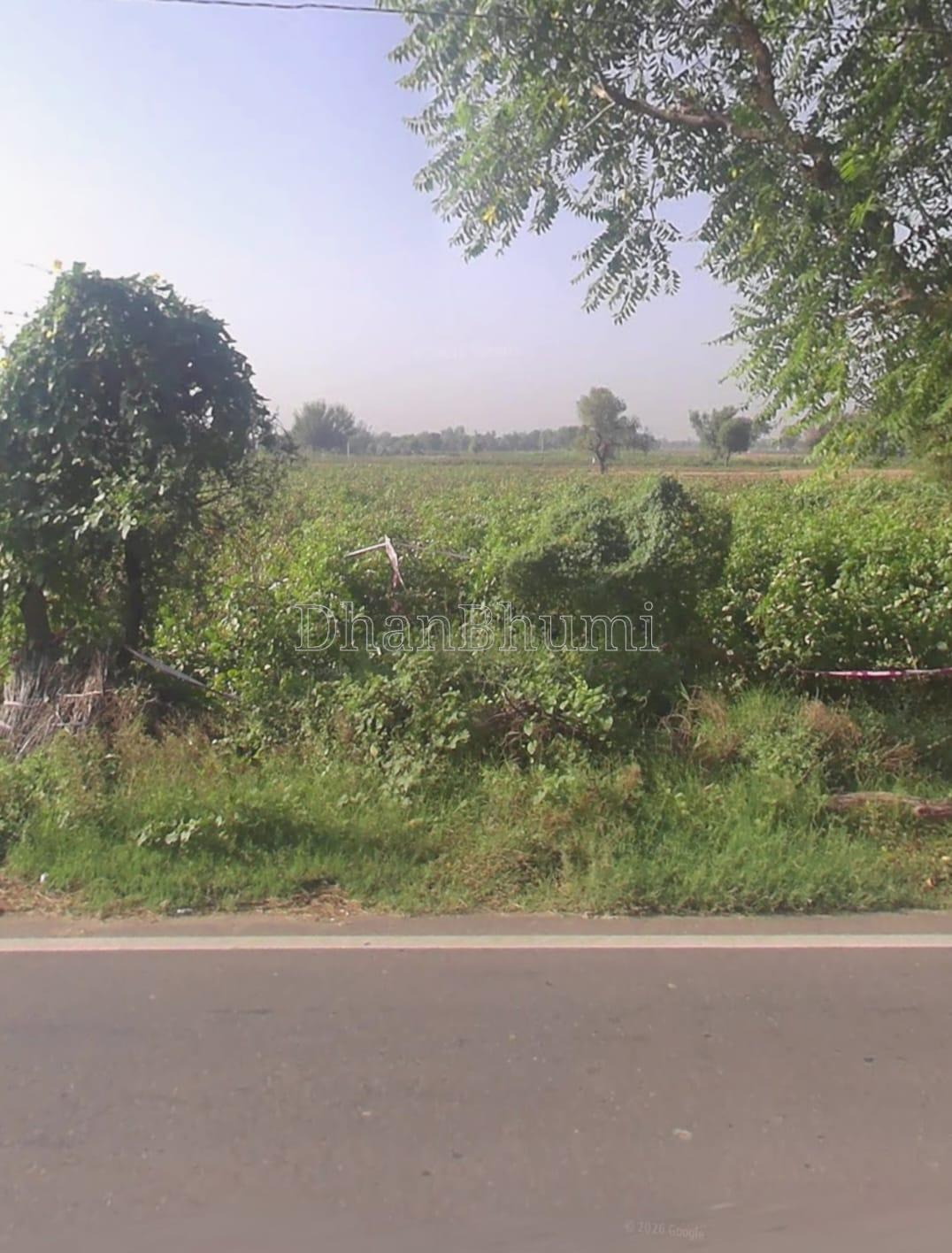 property_images/plot_in_udaipur_1787206425_6a869b19e7b75.jpeg