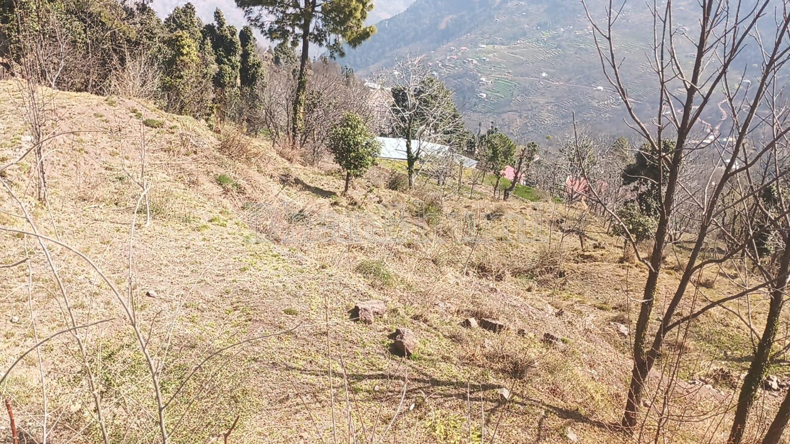 property_images/plot_in_udhampur_1787554981_6a8beca502e9f.jpeg