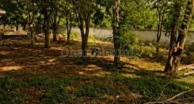property_images/plot_in_vadodara_1790230561_6ab4c0211c2d1.png