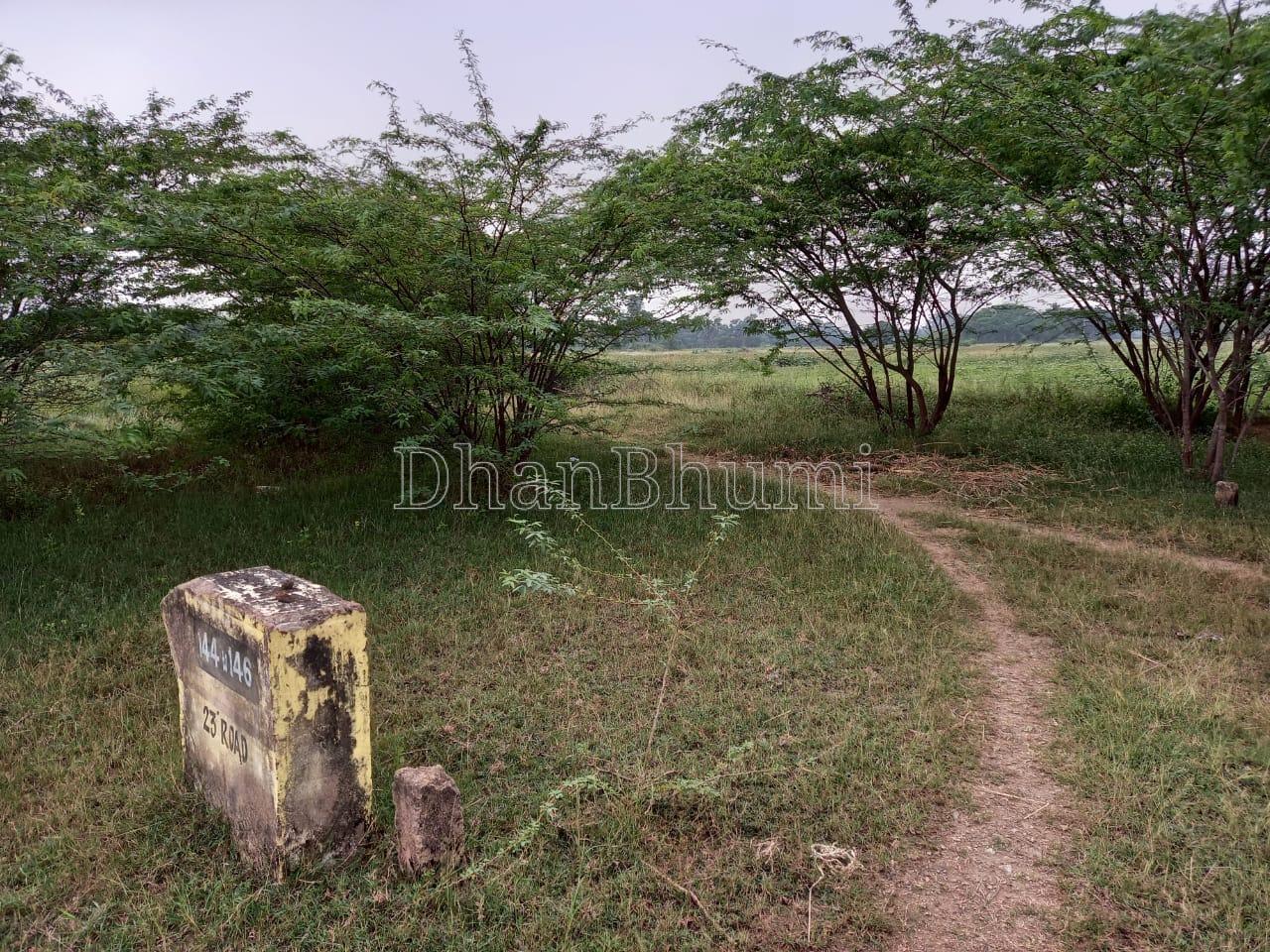 featured_img