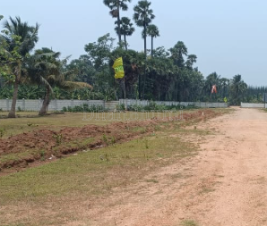 property_images/plot_in_vizianagaram_1784378434_6a5b744285c88.png