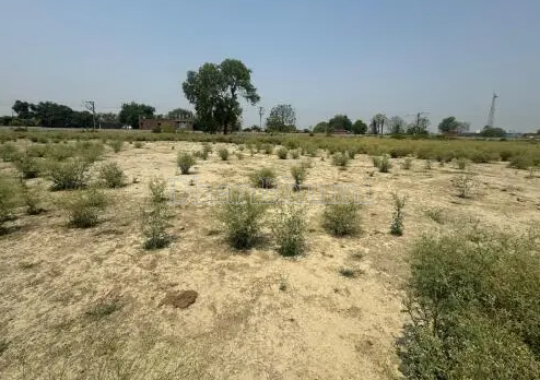 property_images/residential_in_aligarh_1784883182_6a6327ee6a837.png