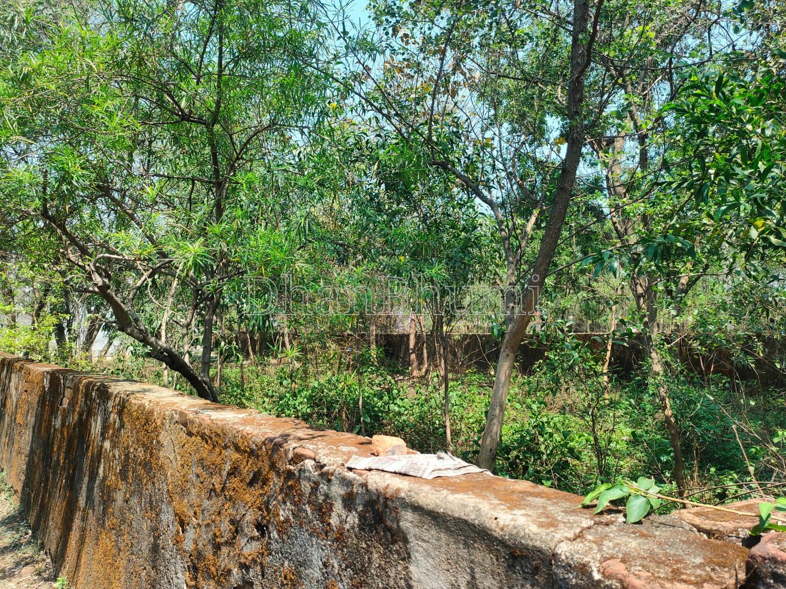property_images/residential_in_birbhum_1791544049_6ac8caf123b85.jpeg