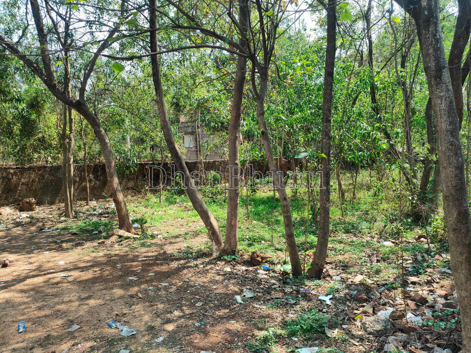 property_images/residential_in_birbhum_1791544049_6ac8caf13923c.jpeg