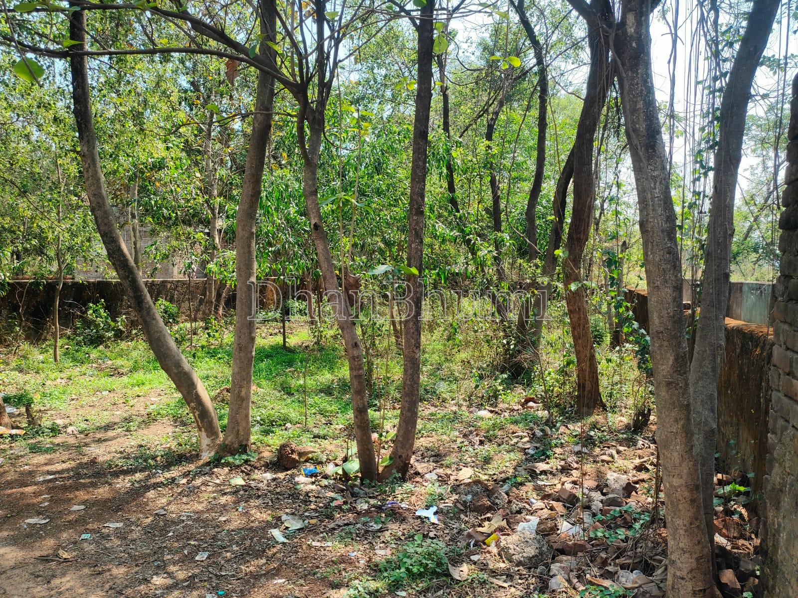 property_images/residential_in_birbhum_1791544049_6ac8caf161cb1.jpeg