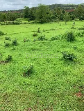 property_images/residential_in_goa_1787725120_6a8e8540972aa.PNG