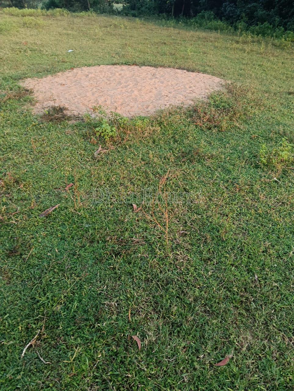 property_images/residential_in_khordha_1783940252_6a54c49c616d3.jpeg