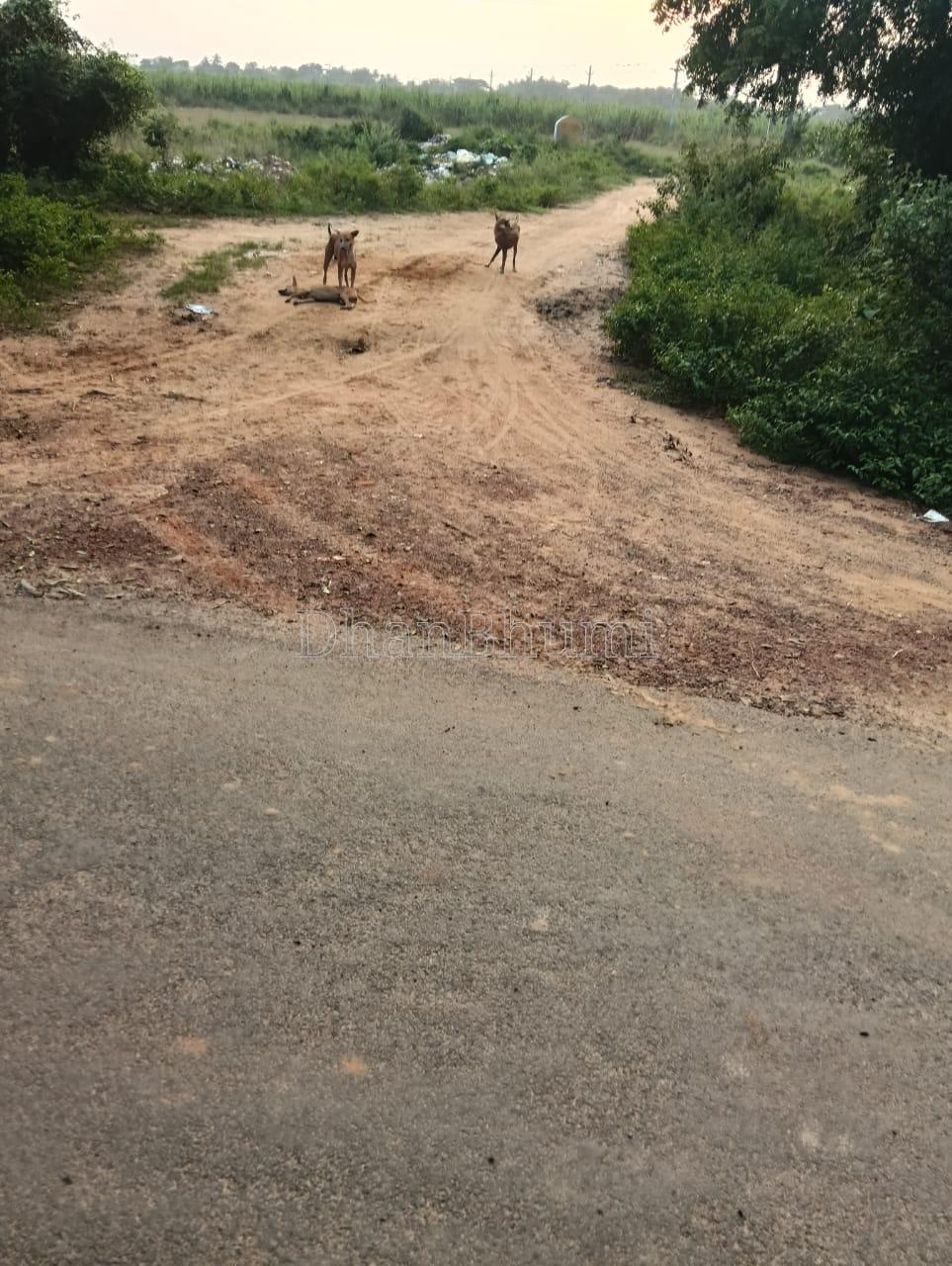 property_images/residential_in_khordha_1783940252_6a54c49c80e88.jpeg