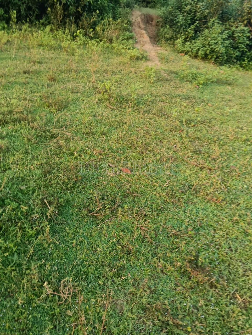 property_images/residential_in_khordha_1783940252_6a54c49c8c38b.jpeg