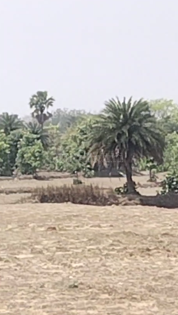 property_images/residential_in_madhupur_1780655457_6a22a56191581.png