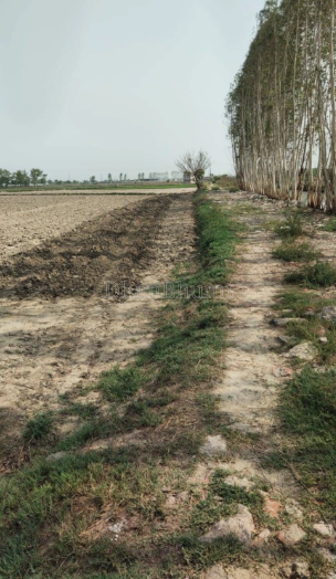 property_images/residential_in_mathura_1789981876_6ab0f4b4f1088.PNG