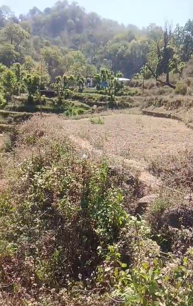 property_images/residential_in_pauri_garhwal_1789820106_6aae7ccace21c.png