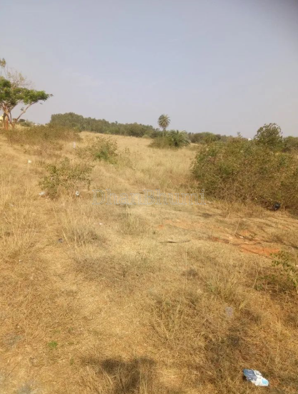 property_images/residential_in_raigad_1785222299_6a68549b24fab.png