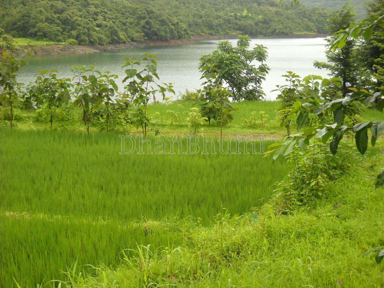 property_images/residential_in_ratnagiri_1786604077_6a7d6a2db4d73.jpeg