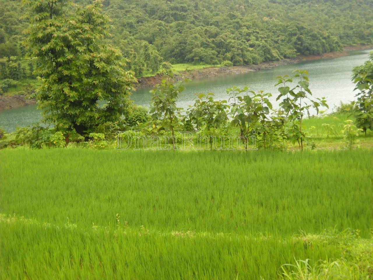 property_images/residential_in_ratnagiri_1786604077_6a7d6a2dc14a9.jpeg