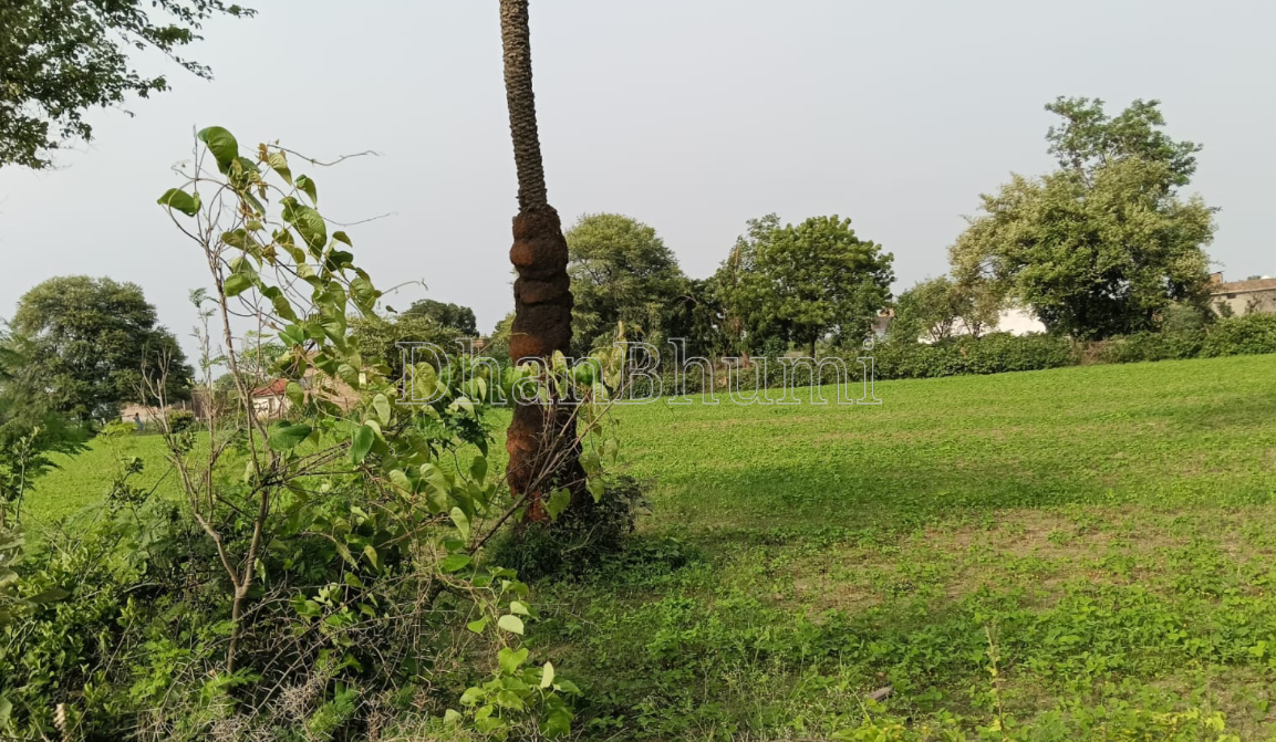 property_images/residential_in_sehore_1784982955_6a64adabb5e2b.PNG