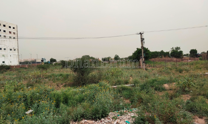 featured_img